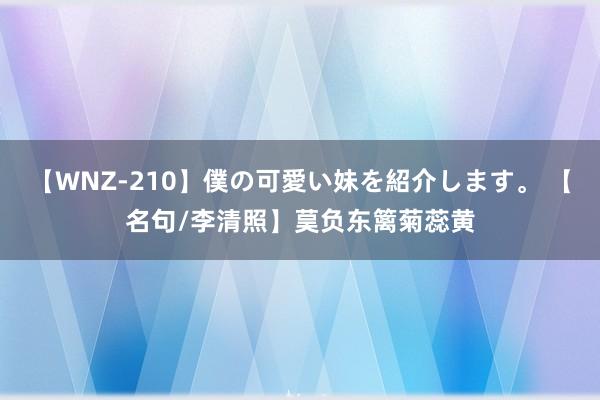 【WNZ-210】僕の可愛い妹を紹介します。 【名句/李清照】茣负东篱菊蕊黄