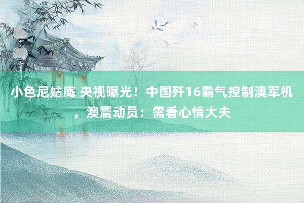小色尼姑庵 央视曝光！中国歼16霸气控制澳军机，澳震动员：需看心情大夫