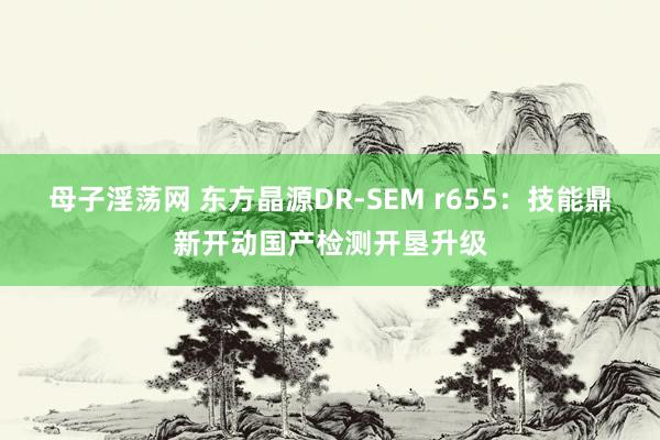 母子淫荡网 东方晶源DR-SEM r655：技能鼎新开动国产检测开垦升级
