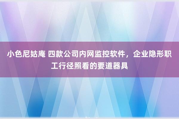 小色尼姑庵 四款公司内网监控软件，企业隐形职工行径照看的要道器具