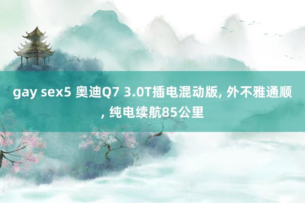 gay sex5 奥迪Q7 3.0T插电混动版, 外不雅通顺, 纯电续航85公里