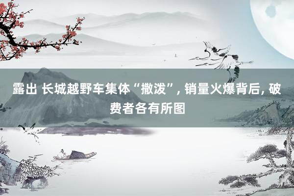 露出 长城越野车集体“撒泼”, 销量火爆背后, 破费者各有所图