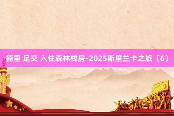 楠里 足交 入住森林栈房-2025斯里兰卡之旅（6）